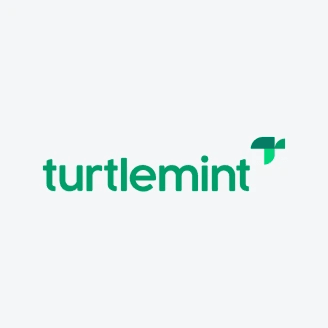 TURTLEMINT FINTECH SOLS L Share Price